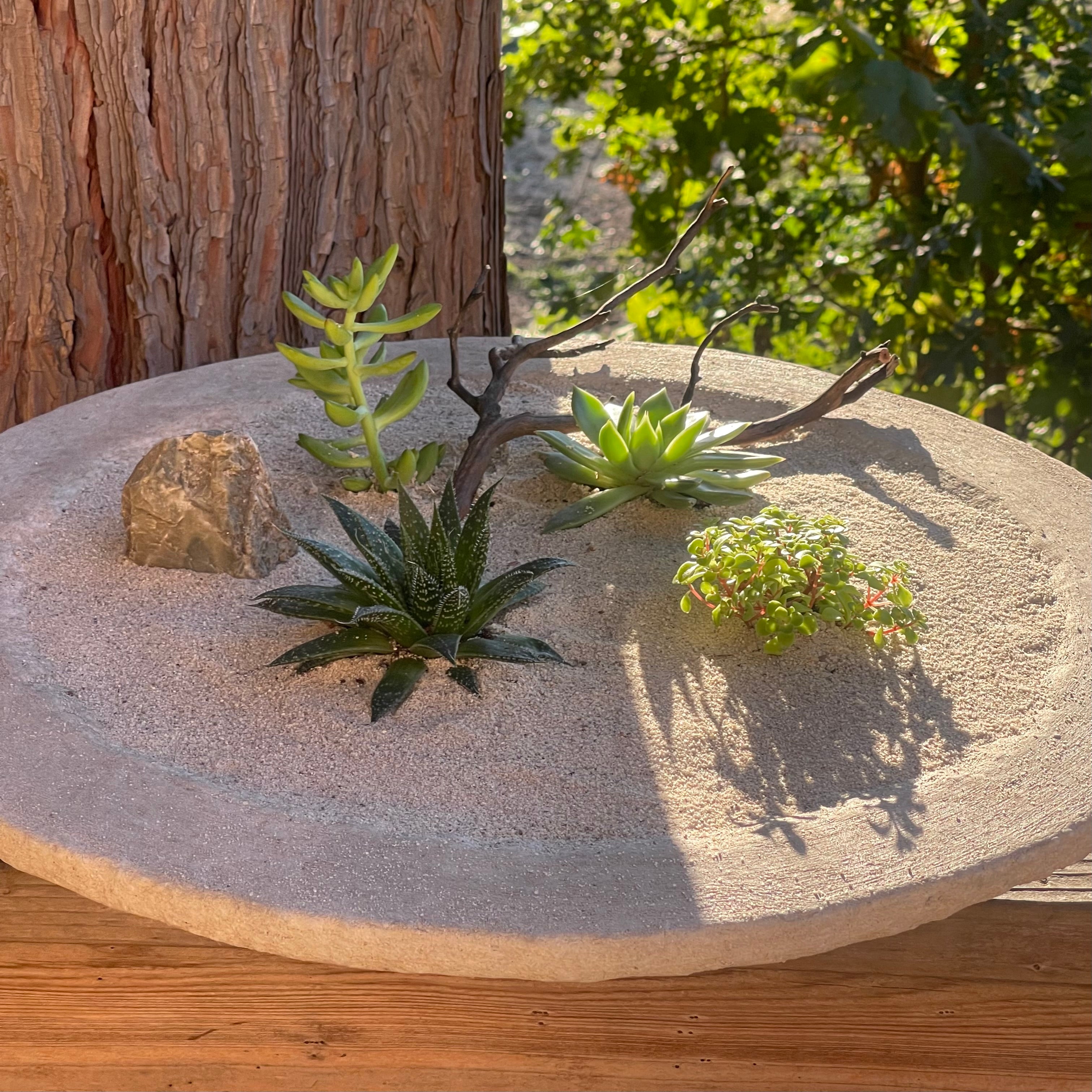 Handcrafted Succulent Bowlscape Arrangements