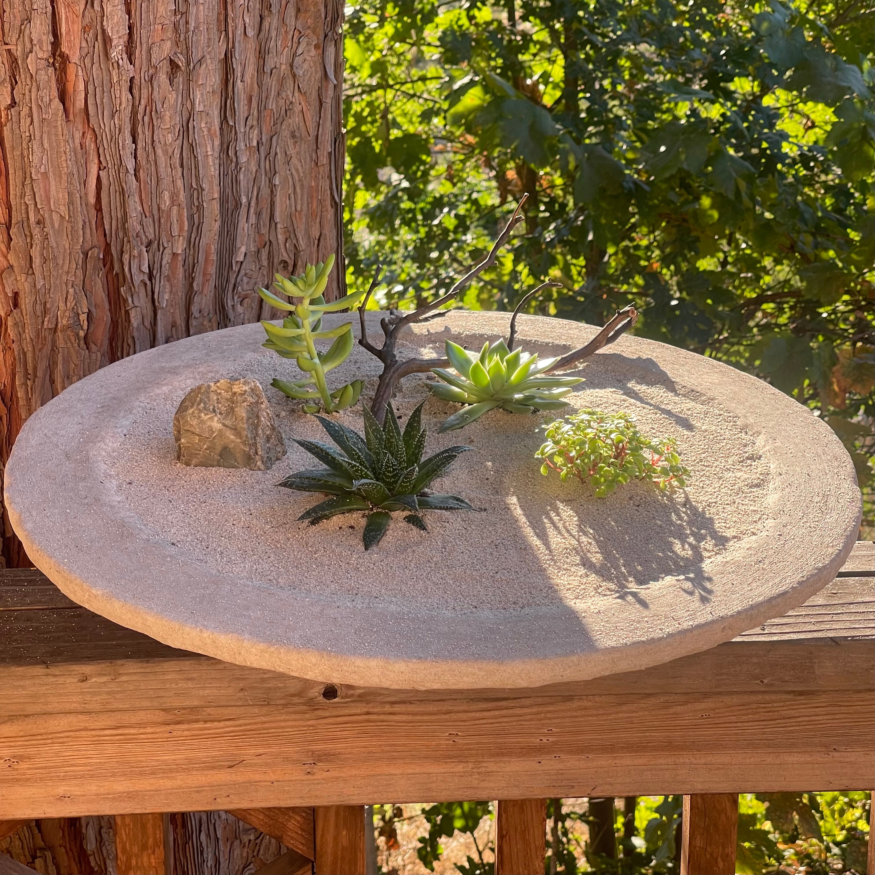 Handcrafted Succulent Bowlscape Arrangements