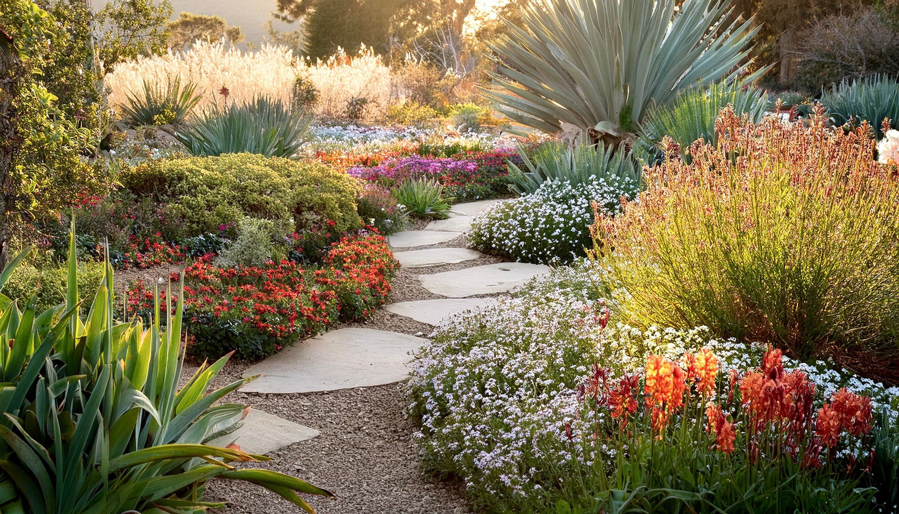 Russian River Rootworks nursery garden